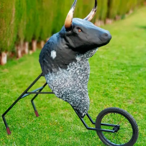 Carretones para adultos